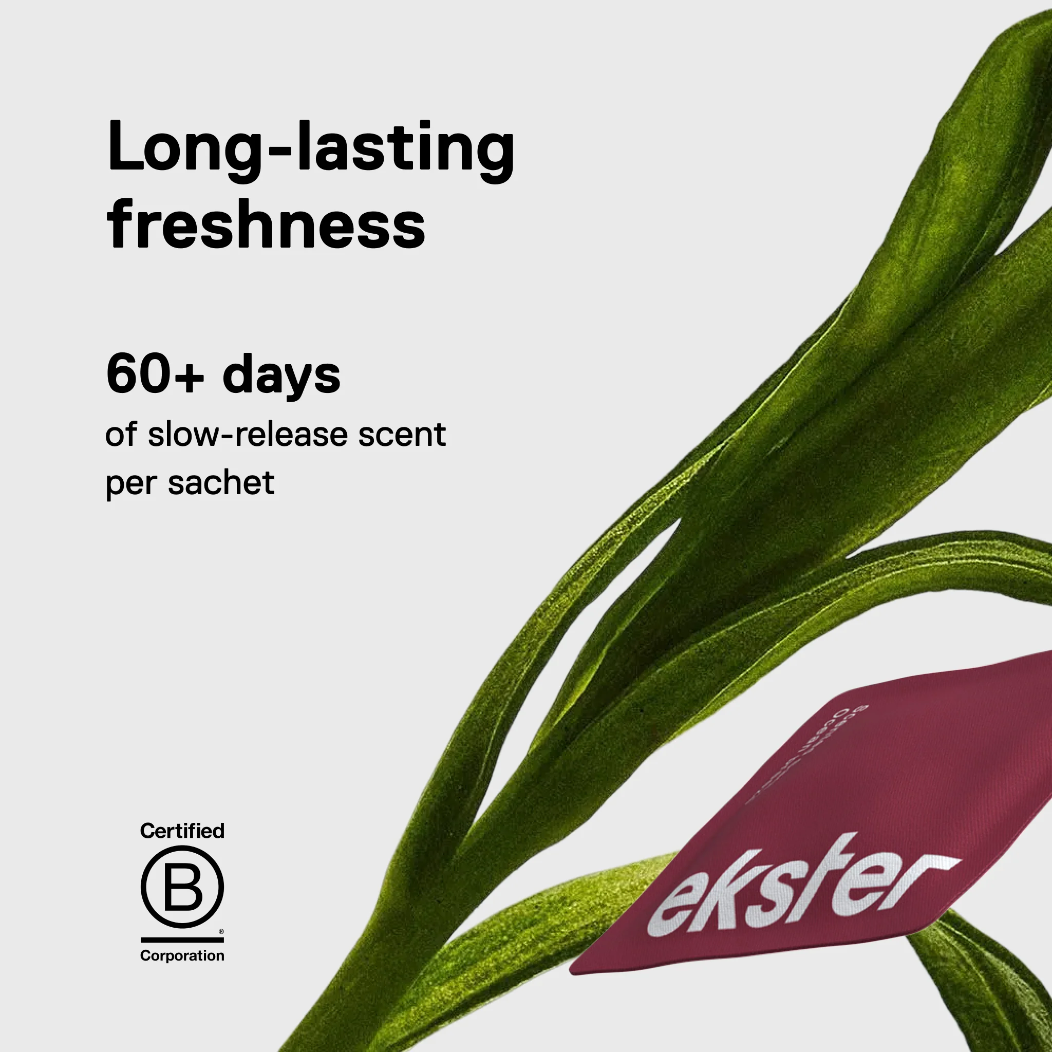 Fresh Essentials Bundle - Image 12